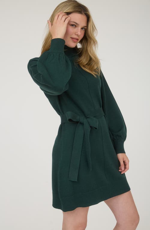 August Sky Long Sleeve Turtleneck Sweater Minidress In Green