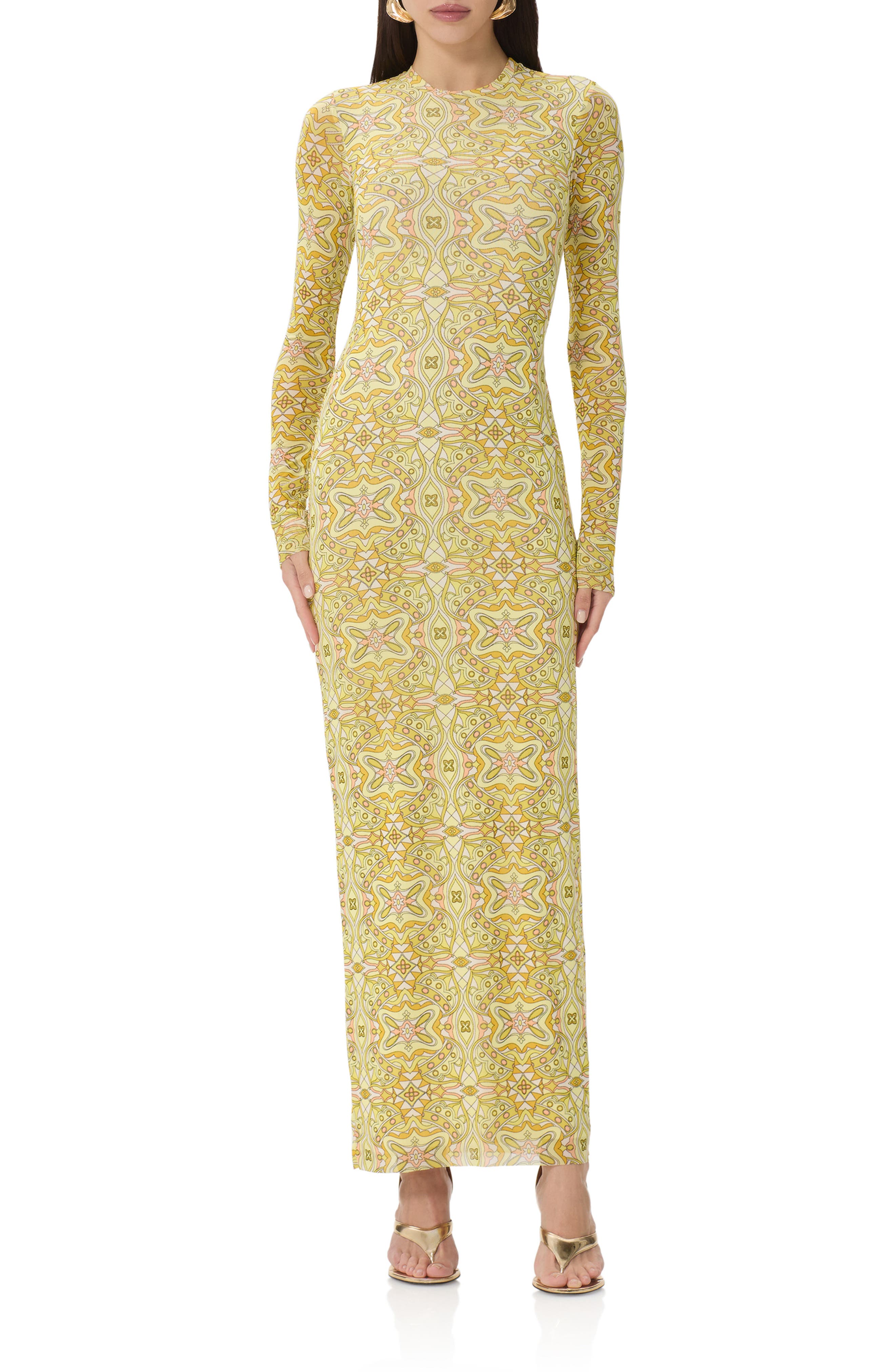 Didi Print Long Sleeve Maxi Dress - image 3