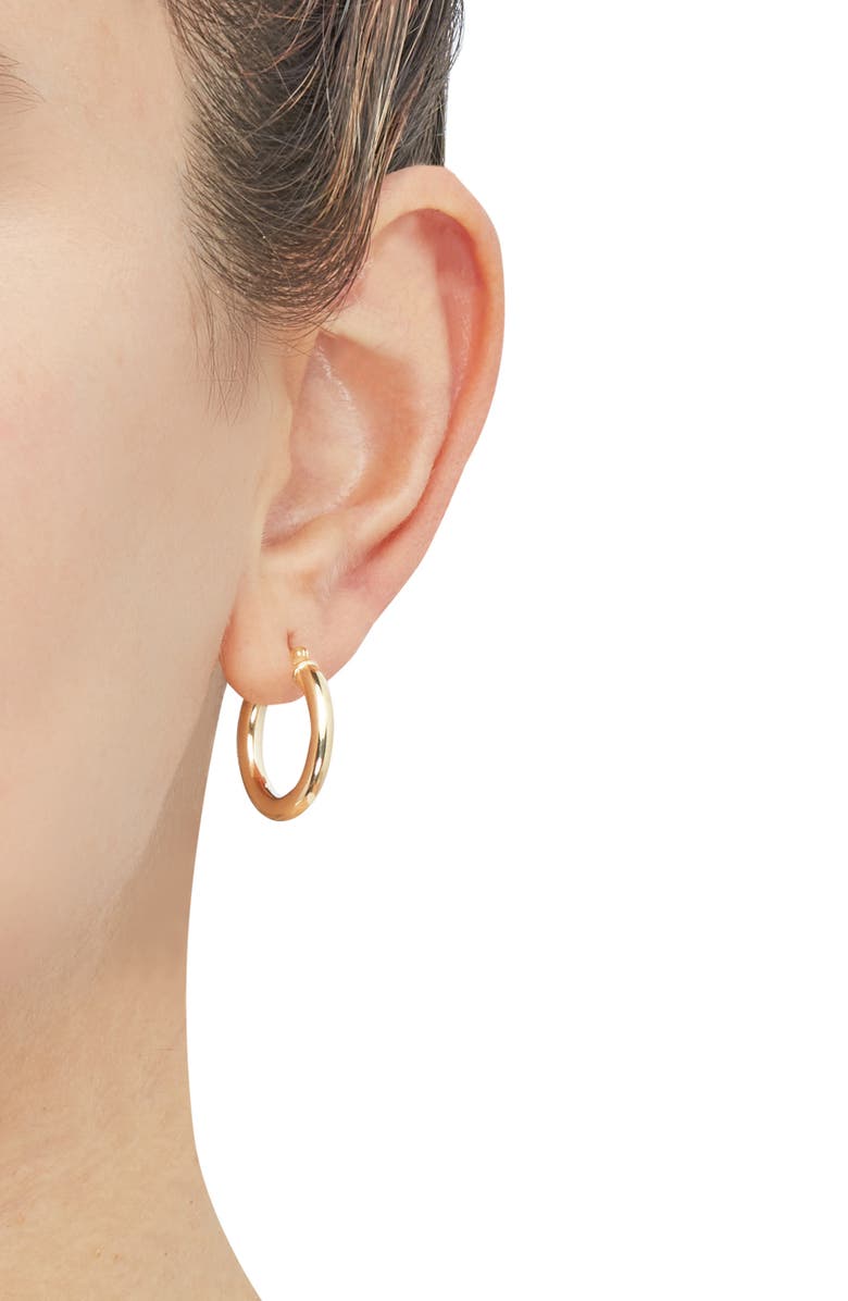 Frankie & Zoe Tubular Hoop Earrings, Alternate, color, Yellow Gold