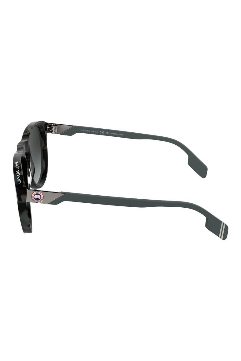 Disc Logo 55mm Oval Sunglasses, Alternate, color, BLACK/ HAVANA GREY