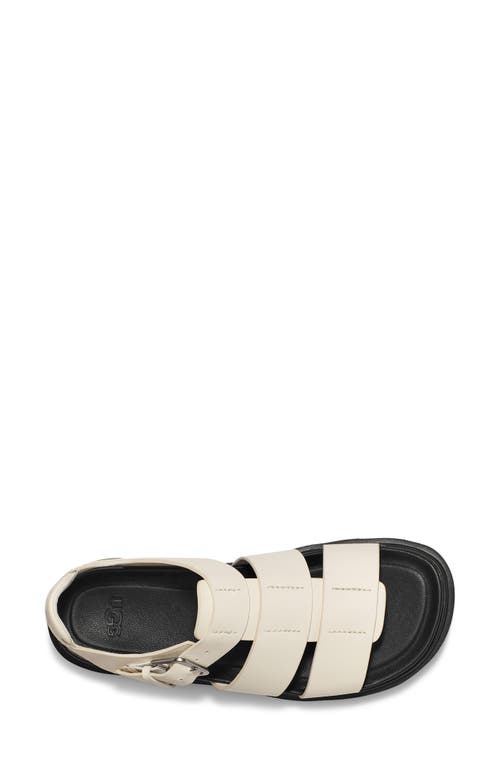 Shop Ugg ® Capitelle Fisherman Sandal In Jasmine