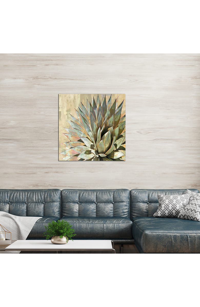 iCanvas Succulent I by Lindsay Benson Canvas Wall Art, Alternate, color, Green Flora