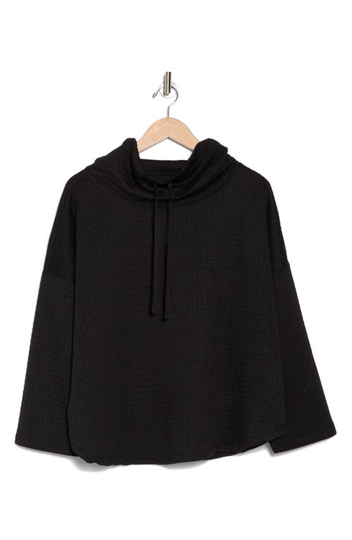 Max Studio Cowl Neck Soft Waffle Knit Top In Black