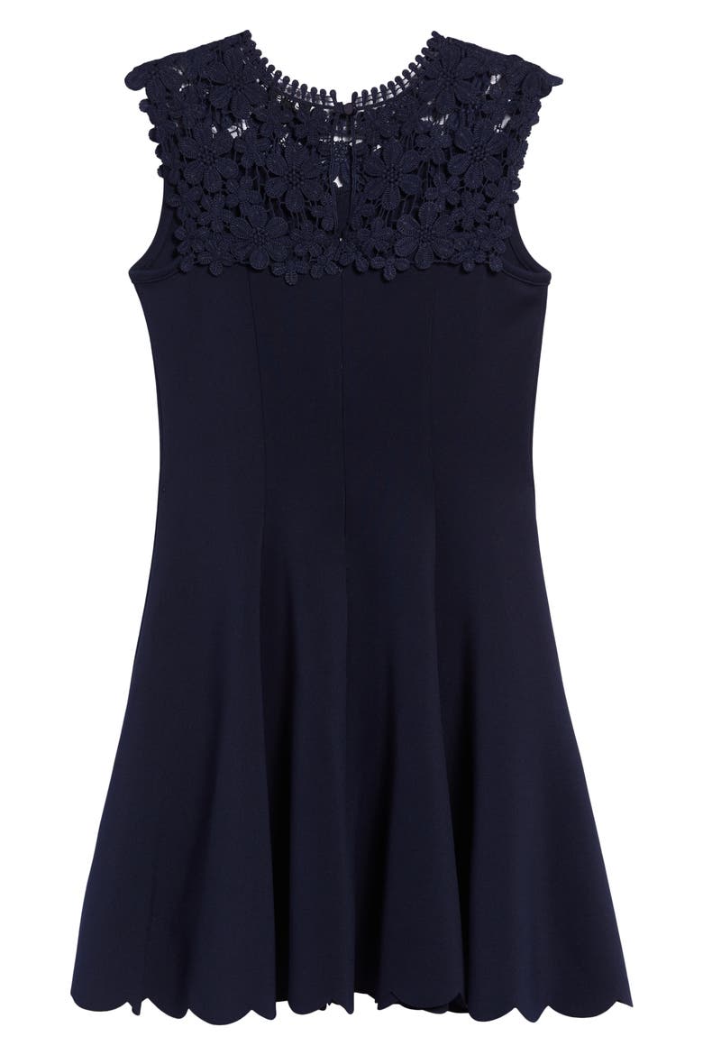 Embroidered Lace Fit & Flare Dress, Alternate, color, NAVY