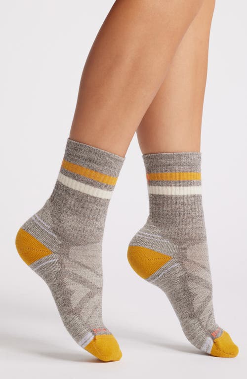 Smartwool Hike Light Cushion Tube Crew Socks In Gray