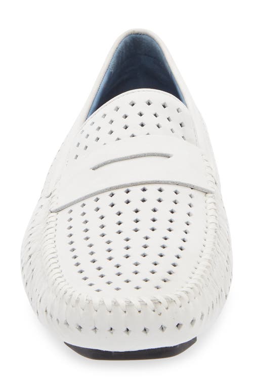 Robert Zur Flyer Perforated Driving Shoe In White
