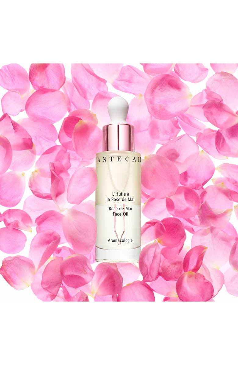 Chantecaille Rose de Mai Face Oil, Alternate, color, 