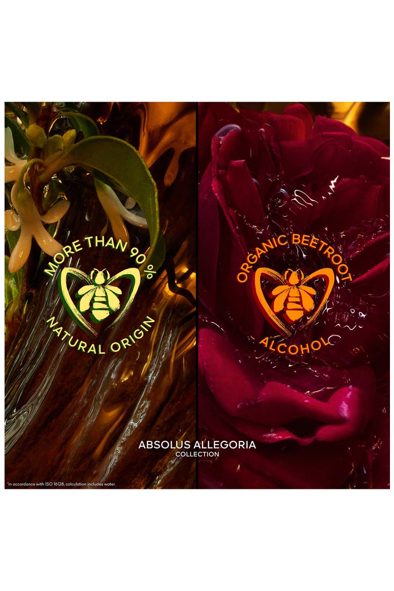 Absolus Allegoria Tabac Sahara Eau de Parfum with Tobacco & Raspberry, Alternate, color, NO COLOR
