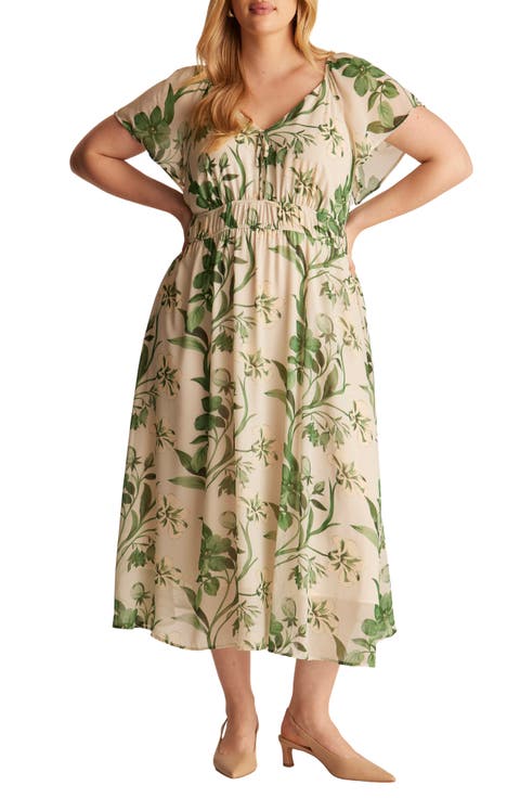 Anaya Floral Print Midi Dress (Plus)