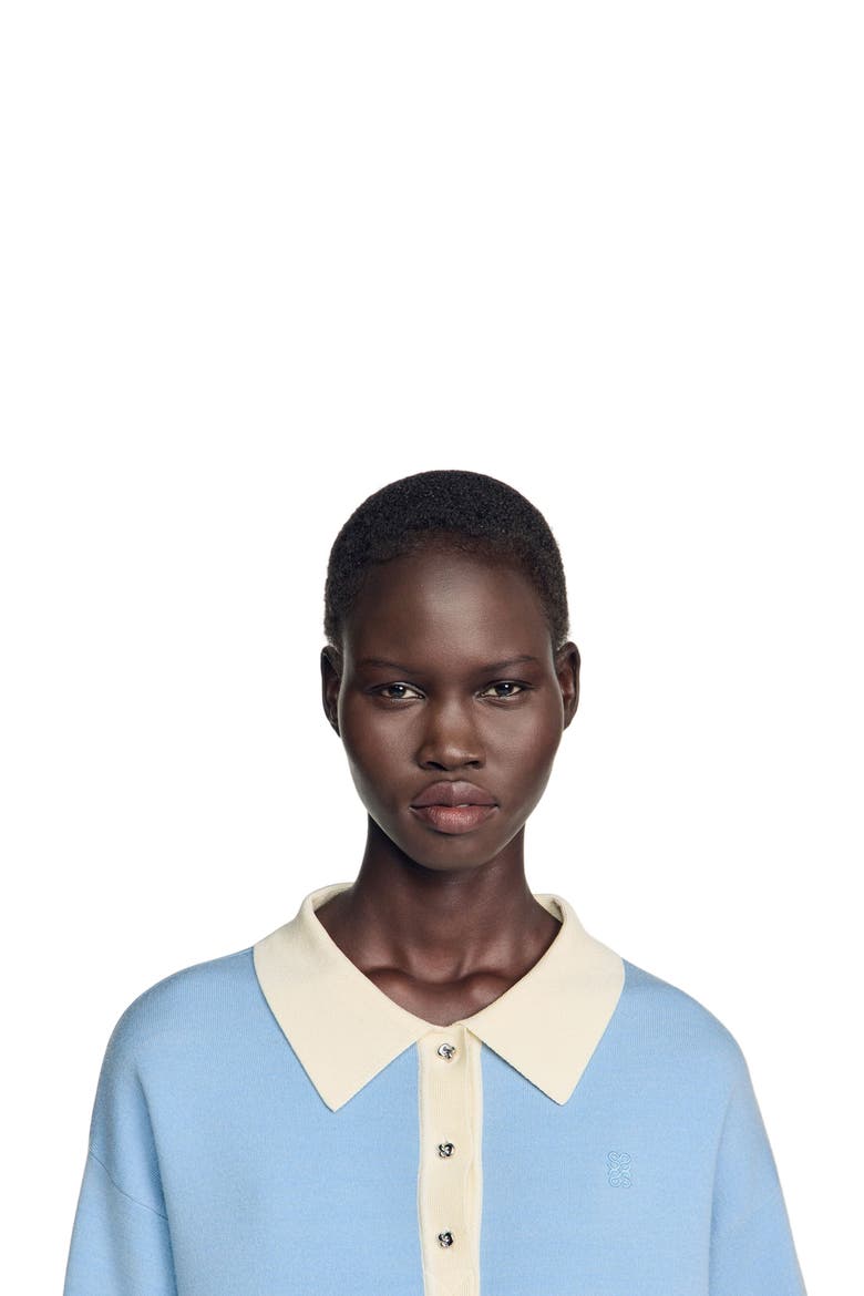 Two-tone wool polo sweater, Alternate, color, Sky blue