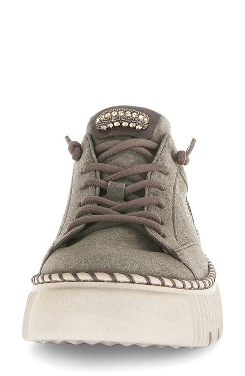 Gabor Low Top Sneaker In Multi