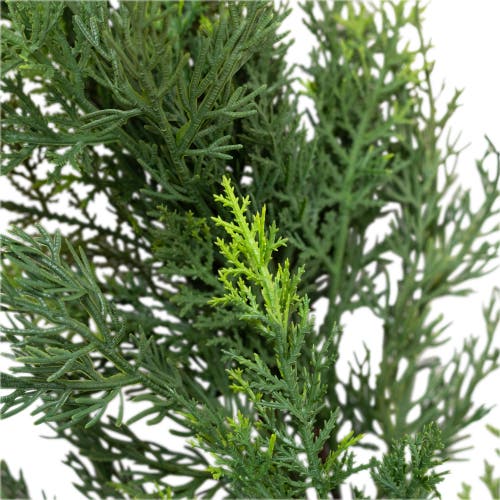 Northlight Cedar Artificial Christmas Garland In Green