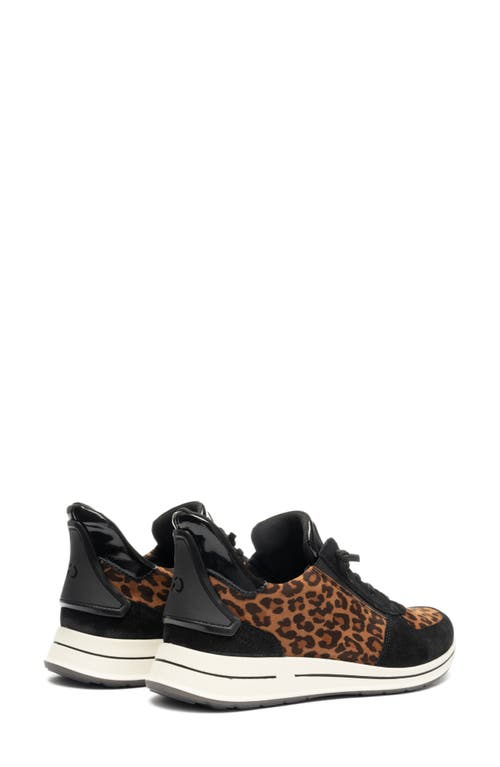 Ara Ovation Sneaker In Animal Print