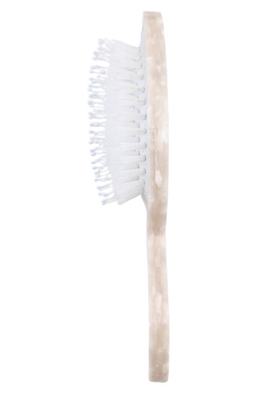 Solar Eclipse Monarch Butterfly Brush, Jaw Clip & Mirror Set In Multi