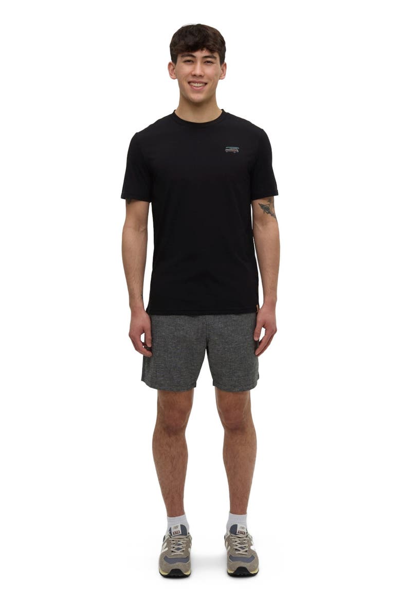 Lake Tentree T-Shirt, Main, color, Meteorite Black/Lake Day