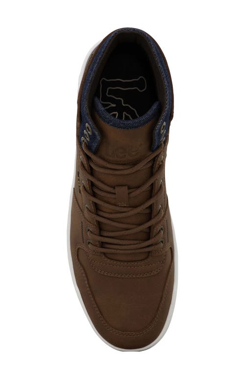 Lee Daybreaker High Top Sneaker In Brown