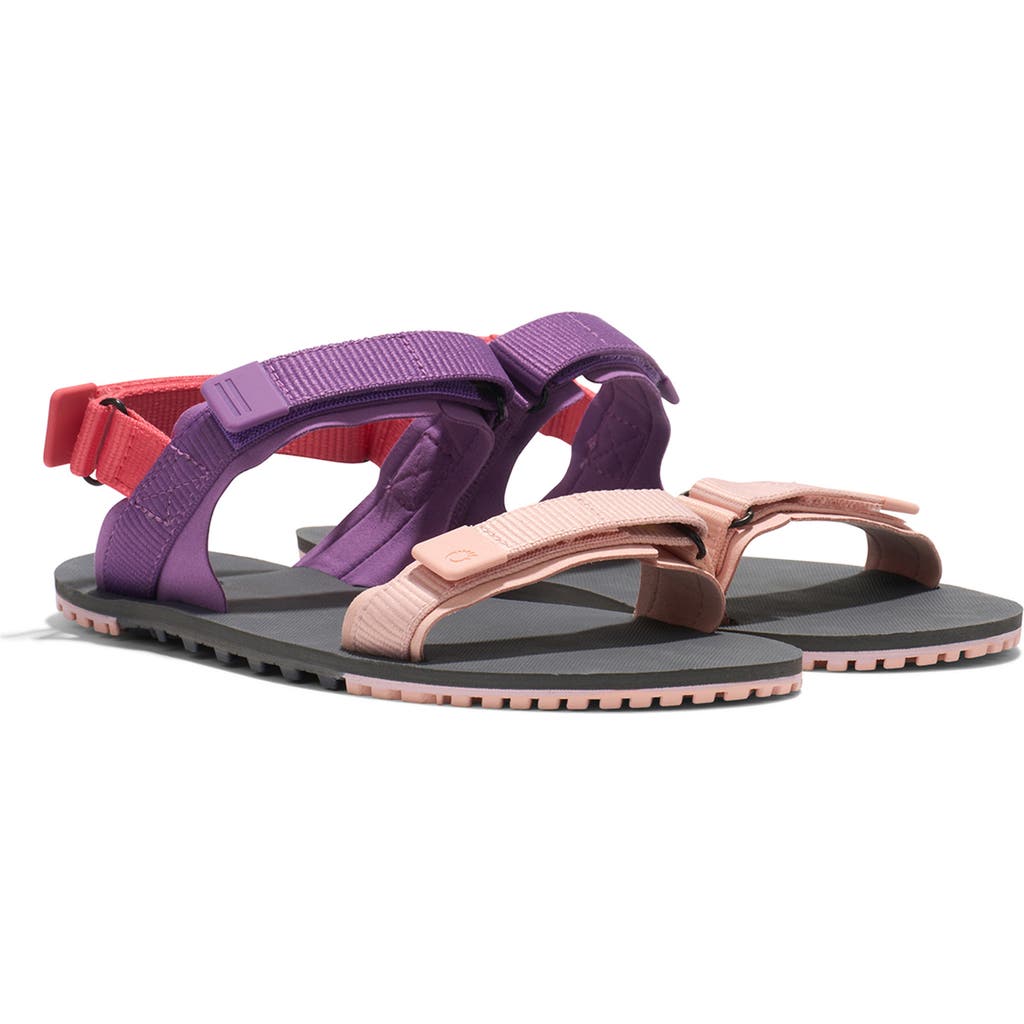XERO SHOES D-Trail Sandal in Dewberry Multi  product