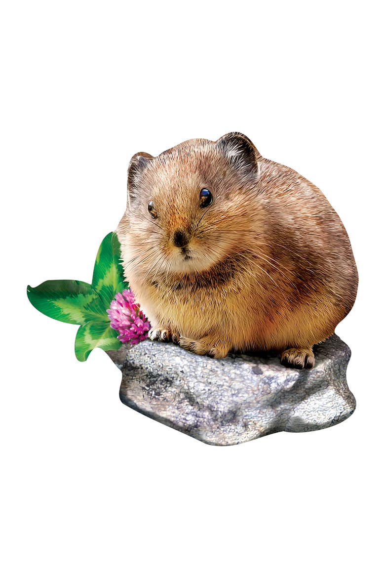 Pika 100 Piece Shaped Jigsaw Puzzle, Alternate, color, Multicolor