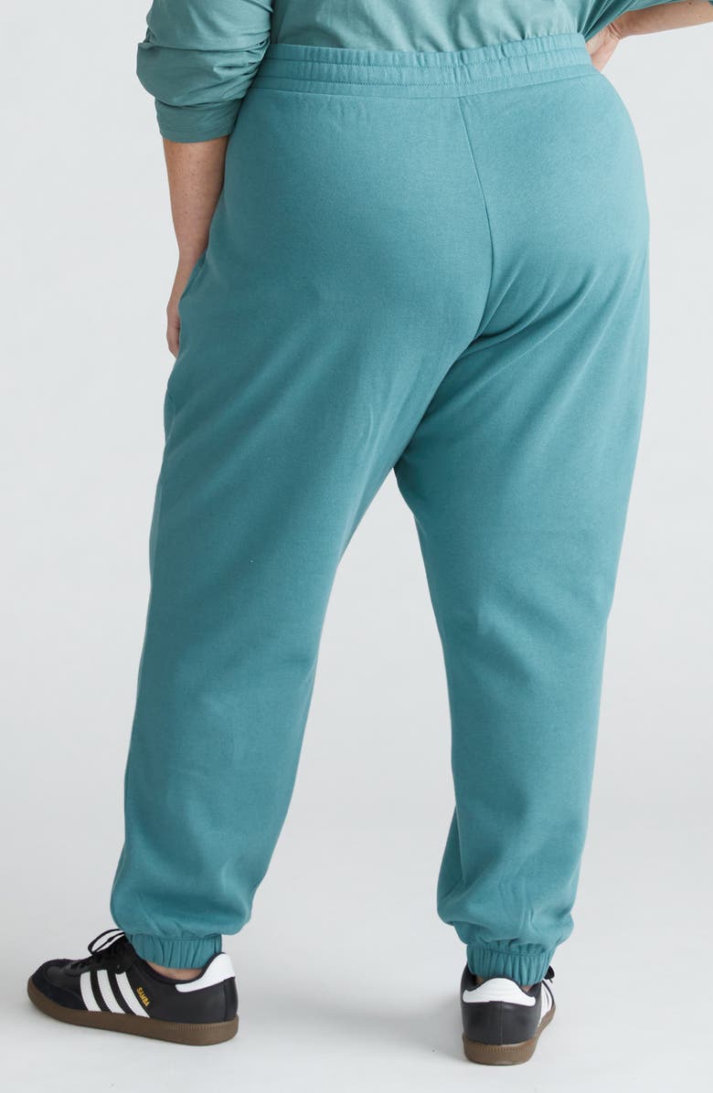 Universal Standard Lyria Fleece Sweatpants, Alternate, color,