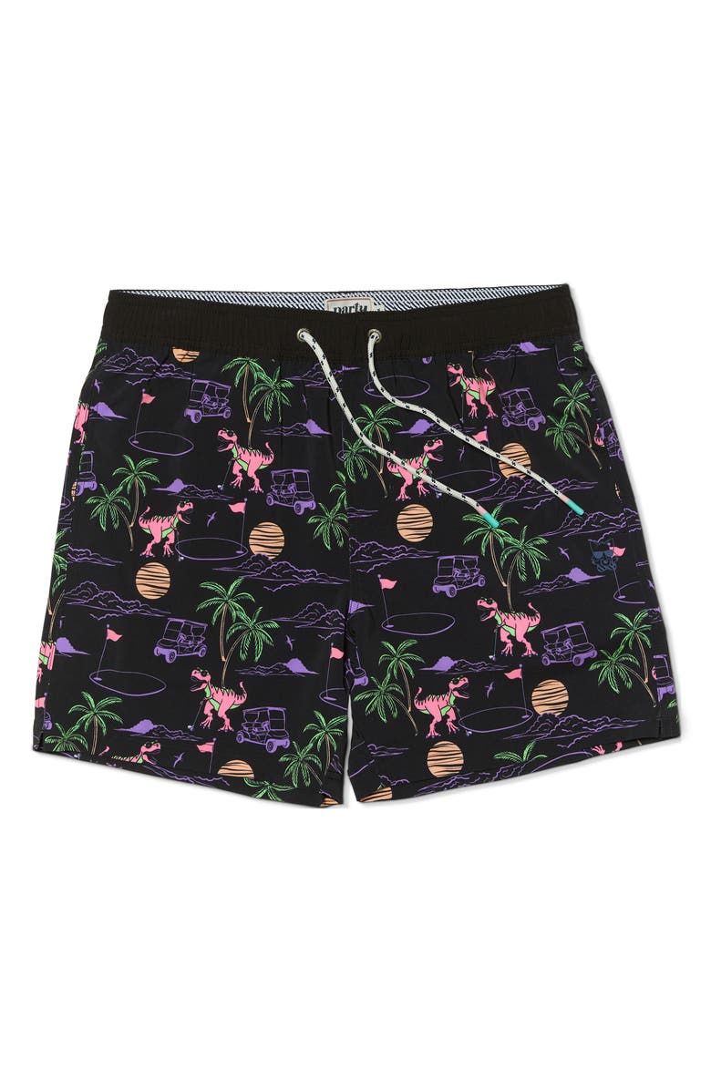 Party Pants Big Putt Swim Trunks, Alternate, color,
