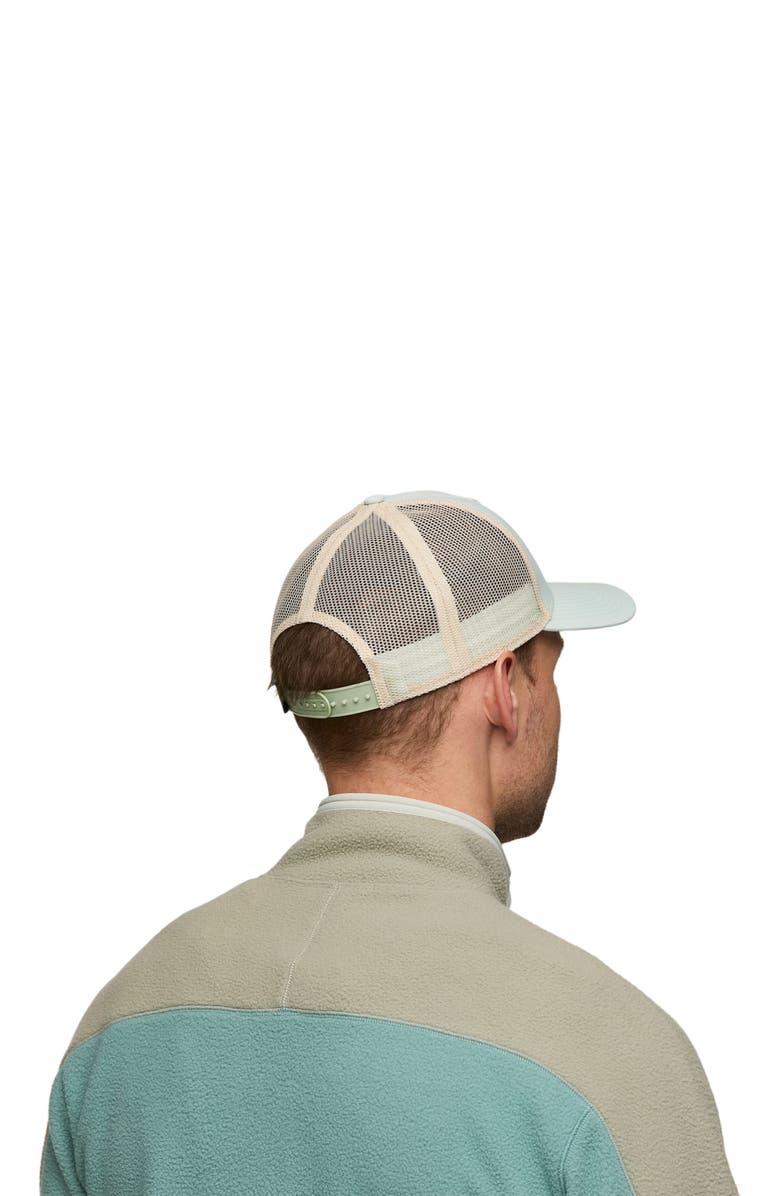 Cotopaxi Llama Trucker Hat, Alternate, color, Foam
