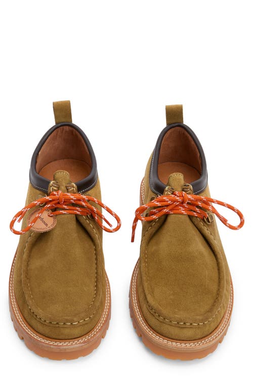 Barbour X Wildbunch Coatham Boat Shoe In Khaki