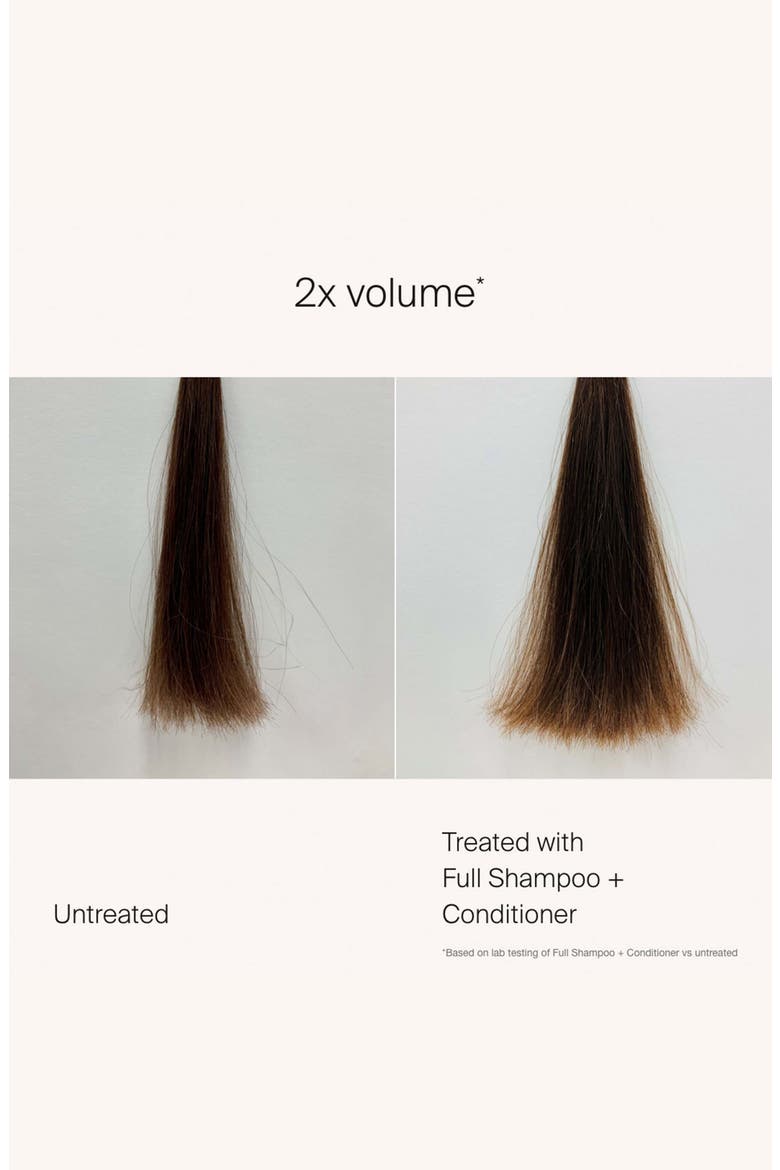 Full Shampoo, Alternate, color, NO COLOR