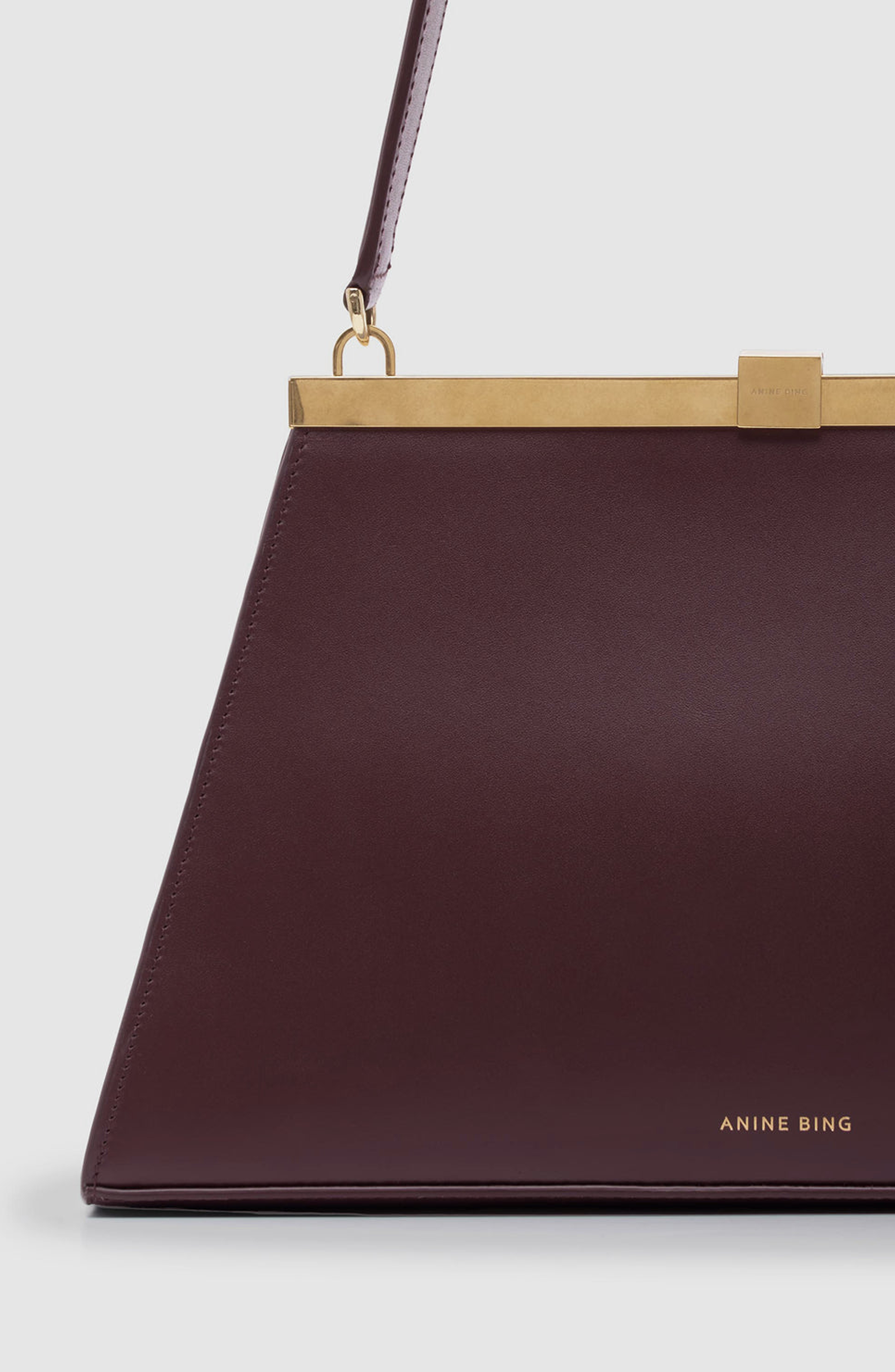 Anine Smooth Leather Bag, Alternate, color, Fig