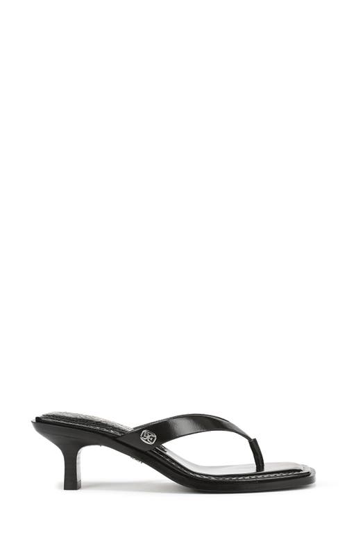 Sam Edelman Dollie Thong Sandal Black Leather In Black