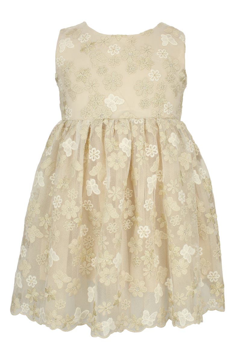 Popatu Floral Butterfly Embroidered Tulle Dress, Main, color,