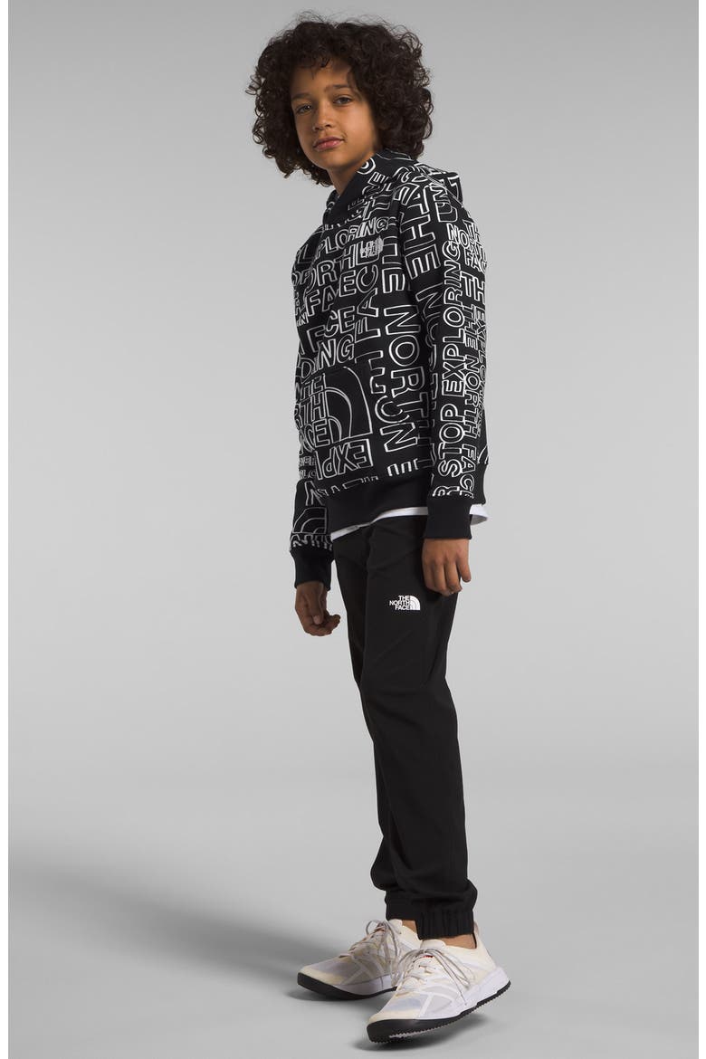 Kids' Camp Fleece Pullover Hoodie, Alternate, color, TNF BLACK TNF MARKER LOGO