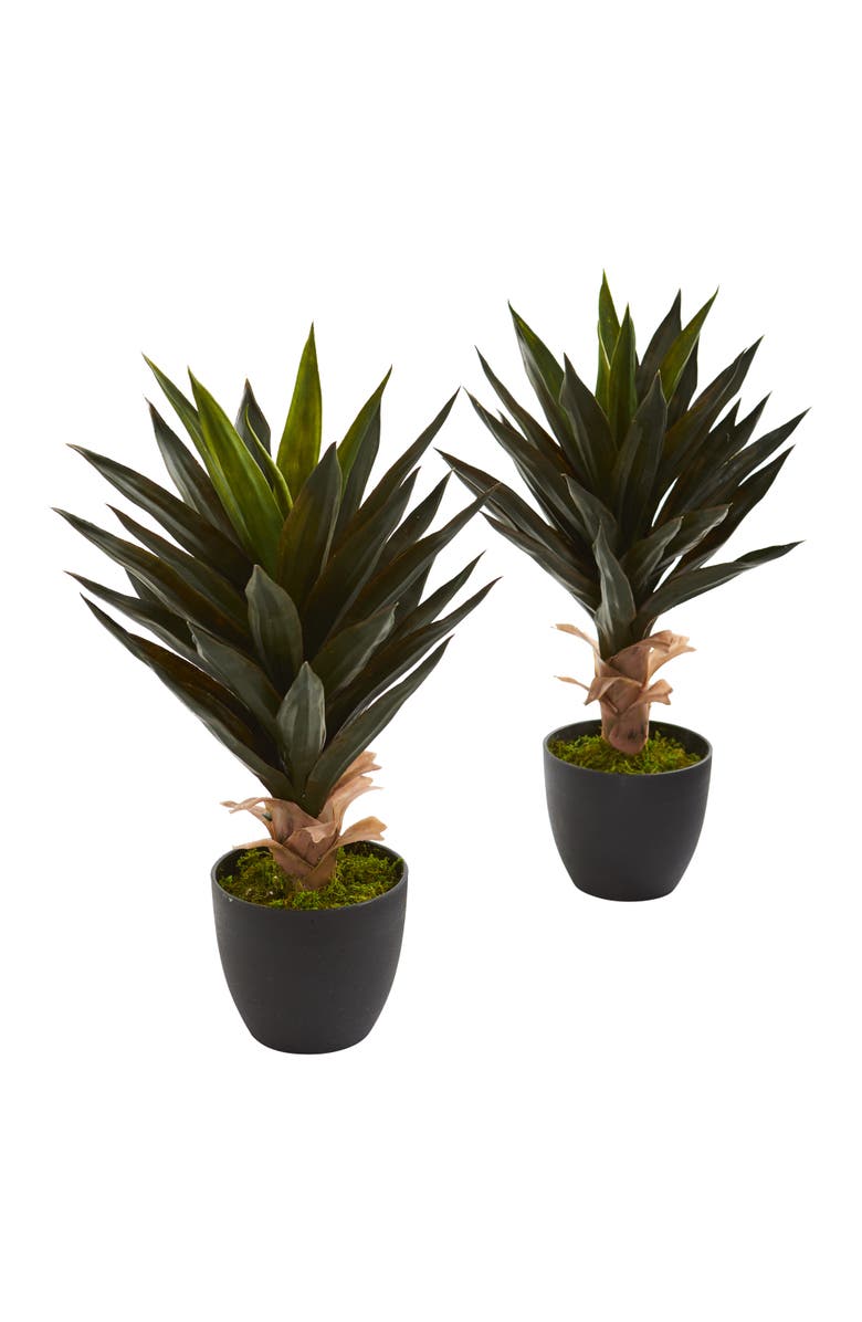NEARLY NATURAL Agave Artificial Plant, Main, color, Green