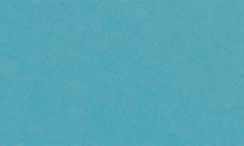 LE CREUSET LE CREUSET CAST IRON TRIVET