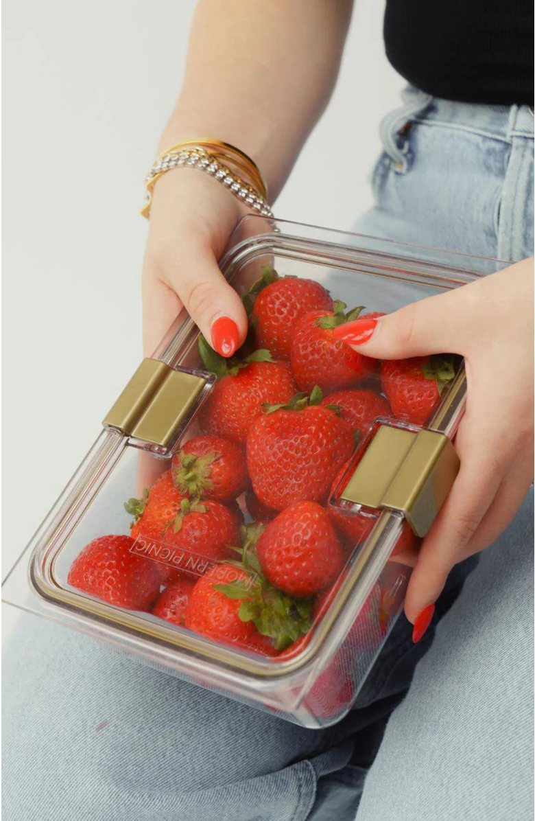 Modern Picnic THE CONTAINER - 10 SET, Alternate, color, Clear