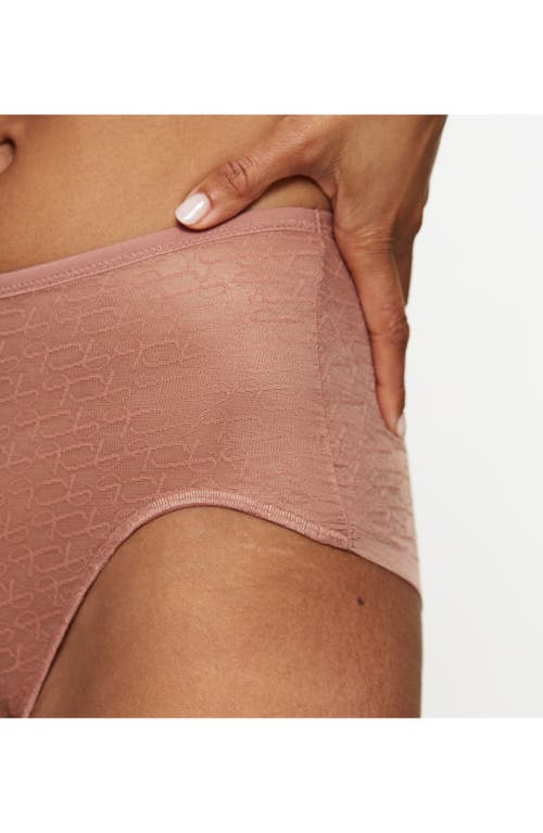 Triumph Signature Sheer Brief Panties In Brown