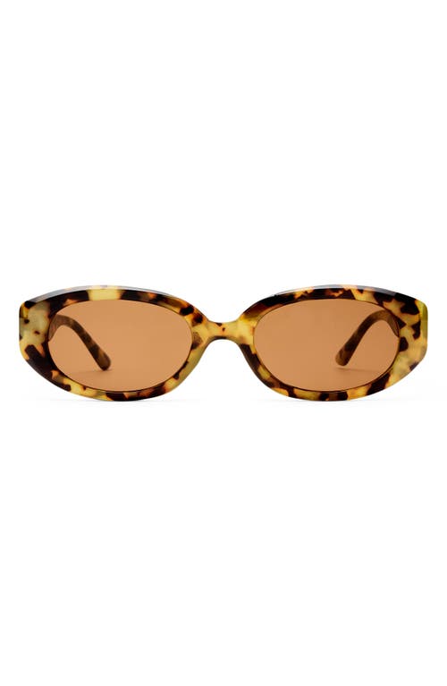 Aire Affinity 52mm Oval Sunglasses In Brown