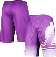 FANATICS Men's Fanatics Branded Purple Los Angeles Lakers Graphic Shorts