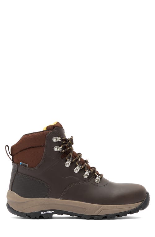 Hi-tec Altitude Vi I Waterproof Hiking Boot In Dark Brown