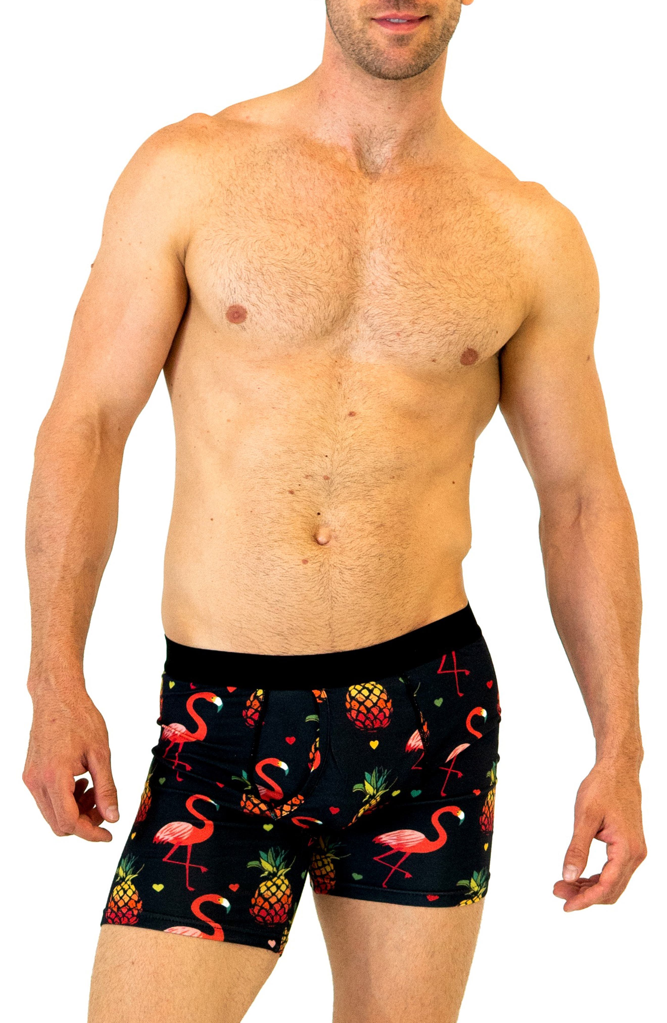 WARRIORS AND SCHOLARS Flamingo Boxer Briefs