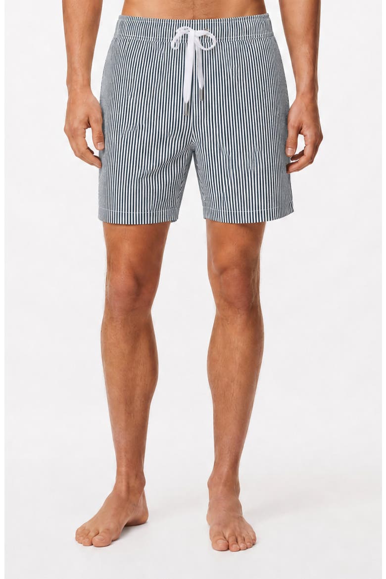Classic Seersucker Swim Trunks, Alternate, color, NAVY