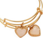 Alex and Ani Mother & Daughter Bracelet Set of 2