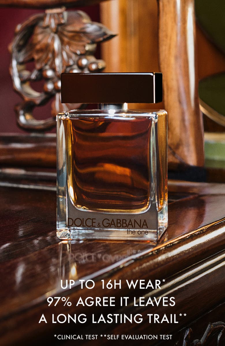 Dolce&Gabbana The One For Men Eau de Parfum, Alternate, color, 