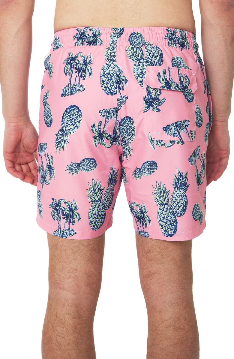 Slate & Stone Cabo Swim Trunks, Alternate, color, Pink Pineapple