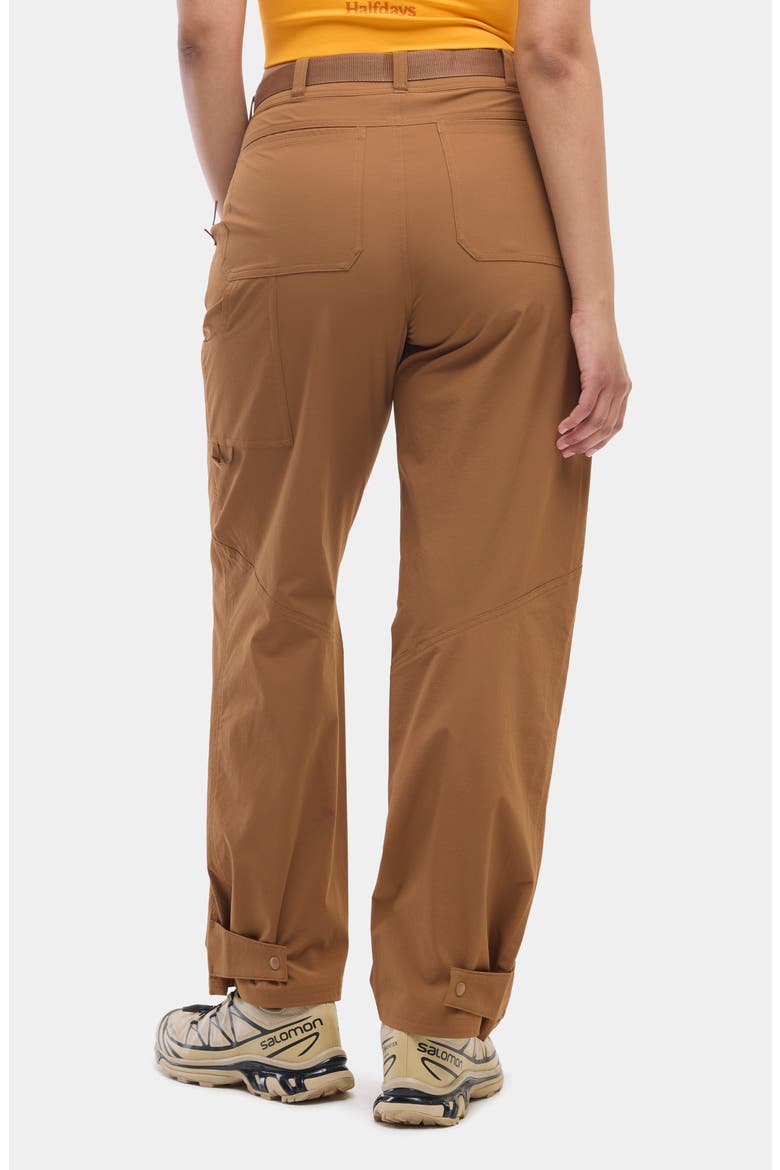 Bastille Trail Pants, Alternate, color, NUTHATCH