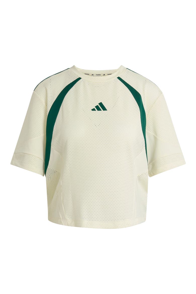 Mesh Short Sleeve T-Shirt, Main, color, IVORY