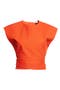 selected Orange Sanguine