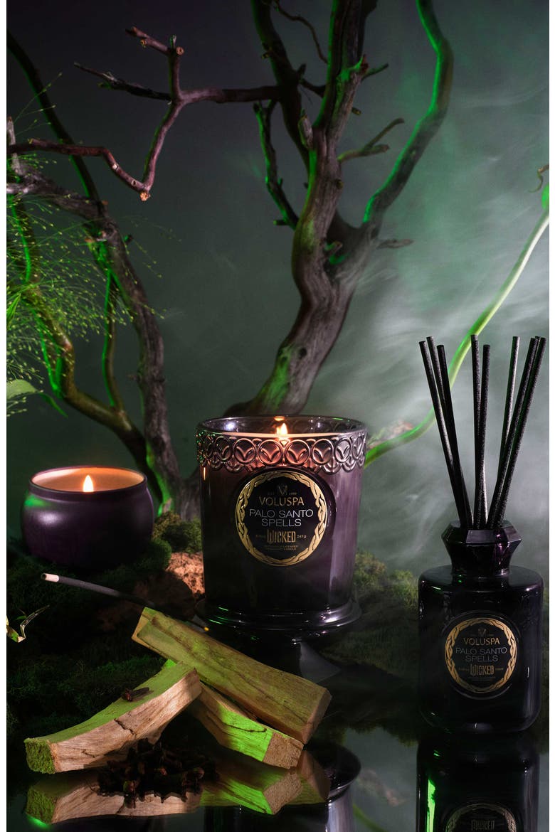 Wicked Collection Palo Santo Spells Reed Diffuser, Alternate, color, NO COLOR