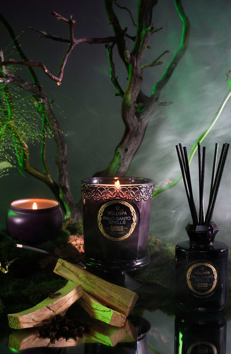 Voluspa Wicked Collection Palo Santo Spells Reed Diffuser, Alternate, color,