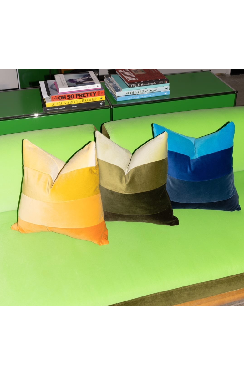 FRY POWERS Velvet Ombre Throw Pillow, Alternate, color, Sage Green