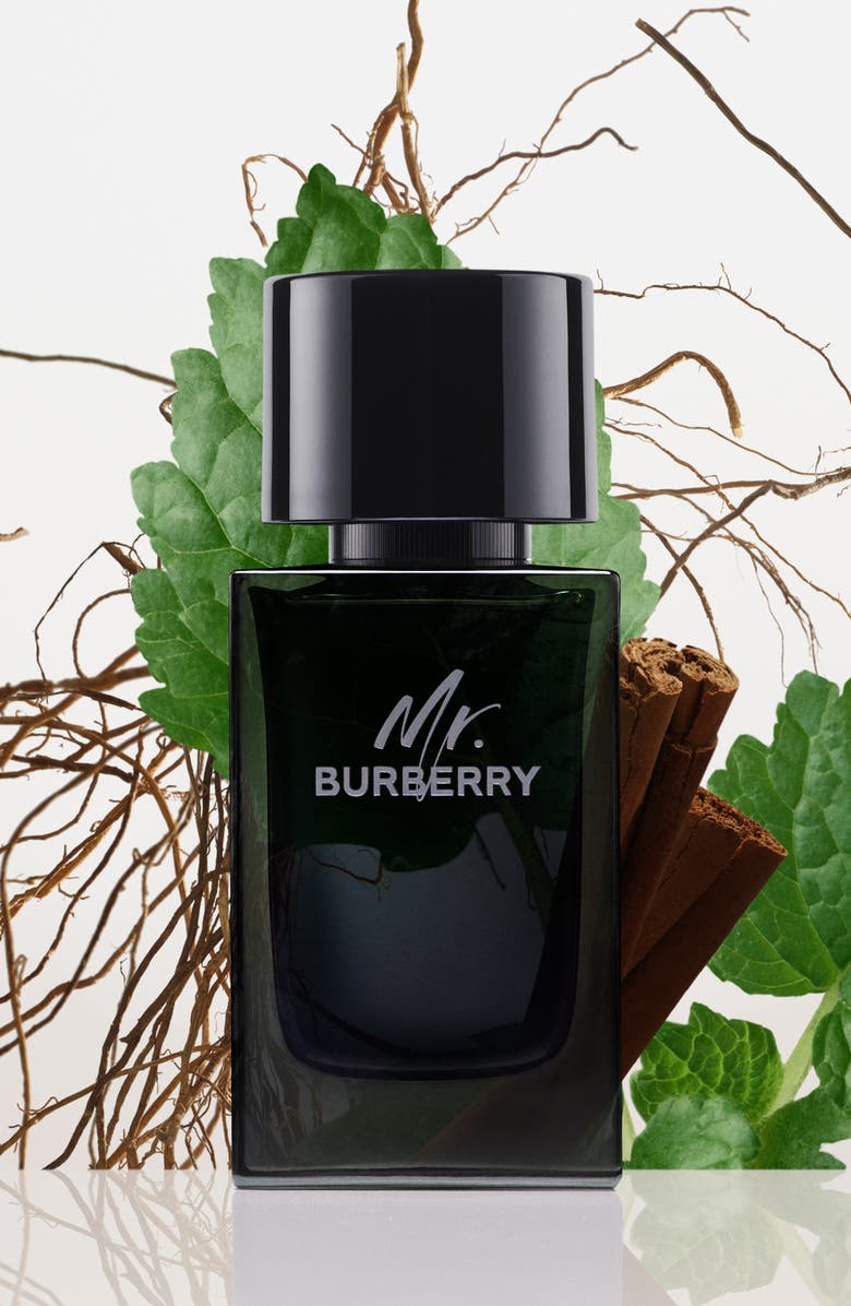 Burberry Mr. Burberry Eau de Parfum, Alternate, color,